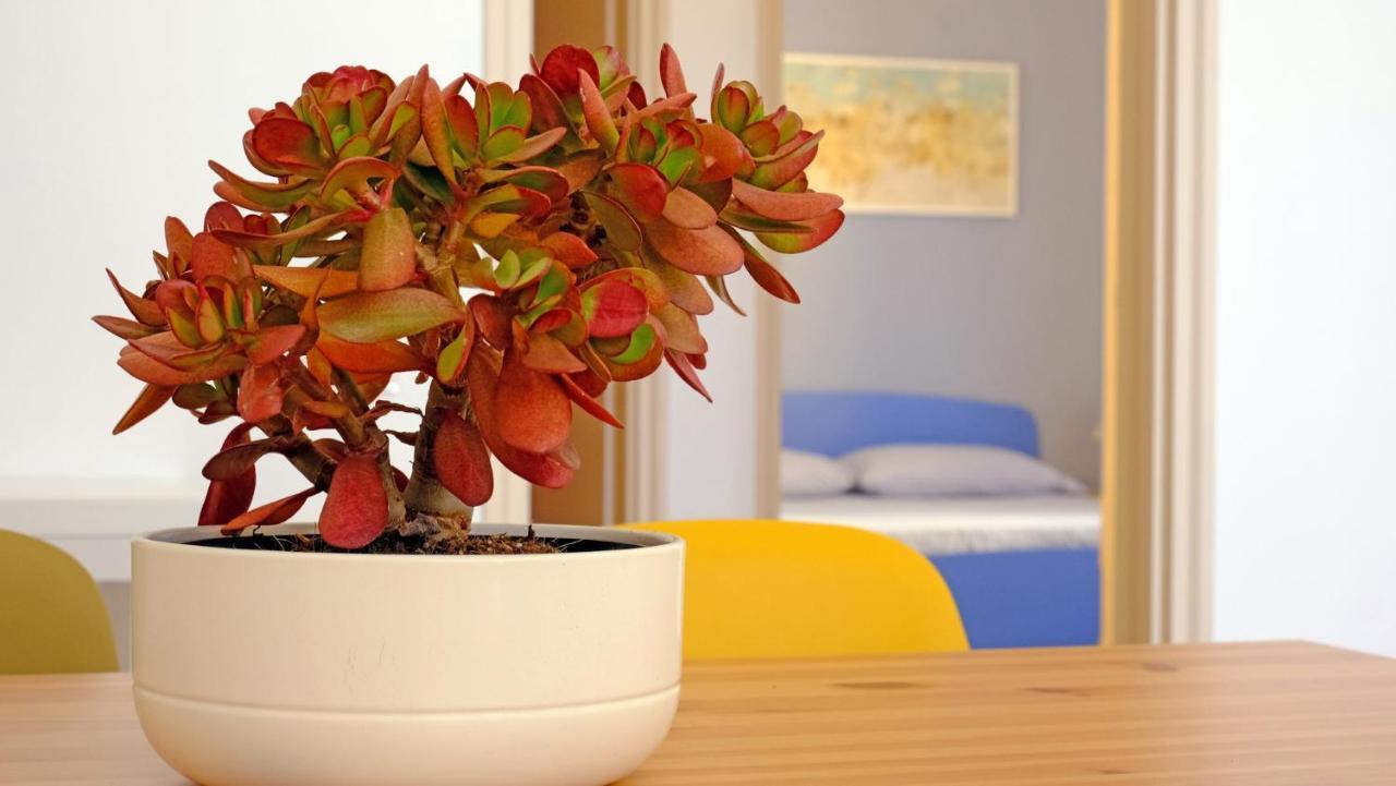 푼타브라쎄토 Casa Barca - Le Chiavi Degli Iblei 아파트 외부 사진